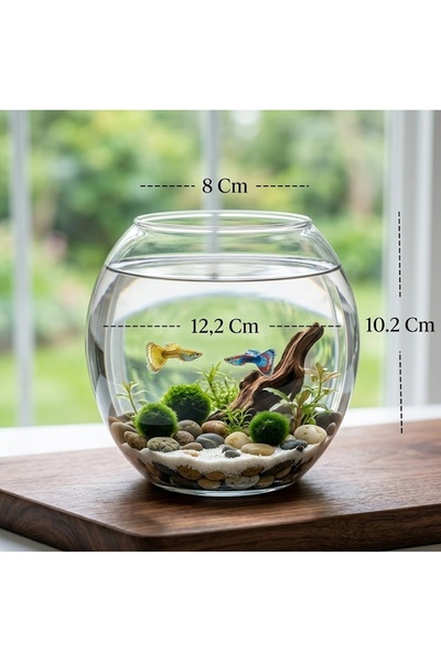 Heryerden Beta Akvaryumu 12 Cm Mini Cam Fanus Betta Balığı İçin Masaüstü Akva...