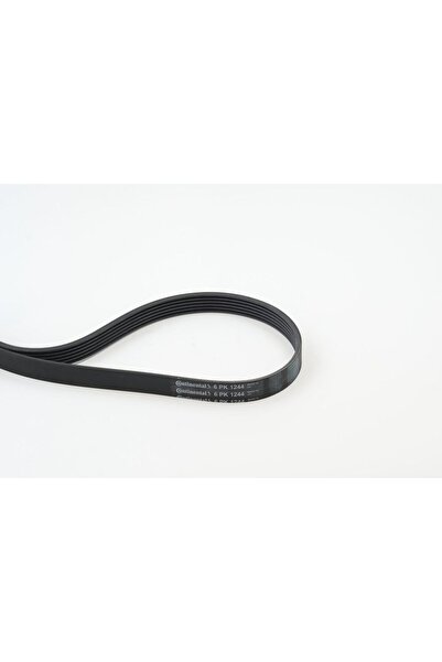 CONTITECH C 6PK 1244 V KAYISI 55566903