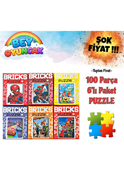 Bricks 6’lı 100 Parça Puzzle Çeşitleri
