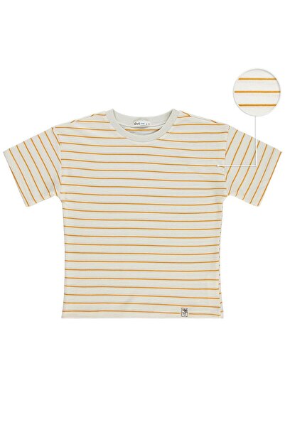Civil Boys Jakar Striped T-Shirt for Ages 10-13 - Orange