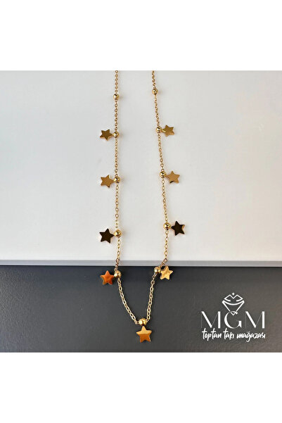 EASERA TİCARET Steel Star Detailed Necklace