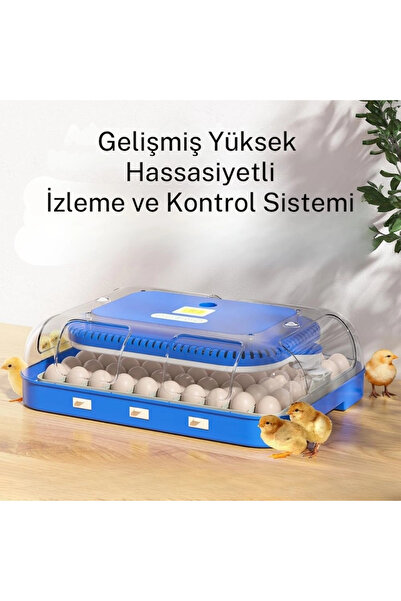 70 Yumurta Kapasiteli Tam Otomatik Kuluçka Makinesi - Nem Kontrollü, Kaz Uyumlu, Dijital Sistem