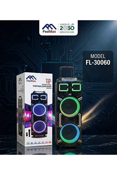 FEELMaX FL-30060 Dual 10" Professional Portable Speaker System
