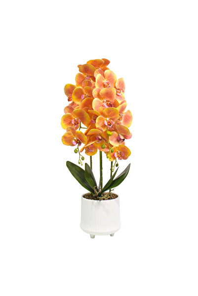 Naimeed Company Orhidee decorativă în ghiveci ceramic, 70 cm, Naimeed D4855, ...