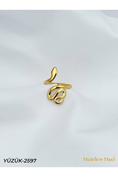 Bozhi Steel Ring Business Women's Style Stylish Gift