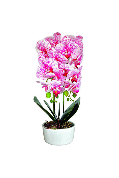 Naimeed Company Orhidee artificială în ghiveci ceramic, 50 cm, Naimeed D5819,...