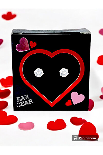 EAR GEAR أقراط من الفولاذ المقاوم للصدأ 316L بحجر زركونيا مكعب 5 مم مصنوعة في...