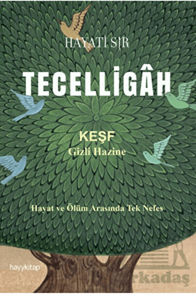 hayykitap Tecelligah