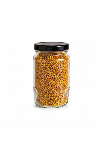Polen 100 Gr