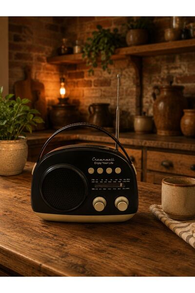 VALENZA STORE Crownwell Taşınabilir Bluetooth Retro Radyo Arizona Serisi / Black