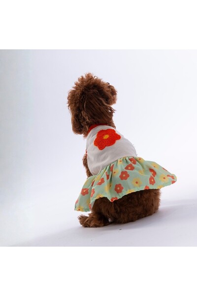 Pawstar Florelle Floral Patterned Cat and Dog Dress - Cat and Dog Outfit