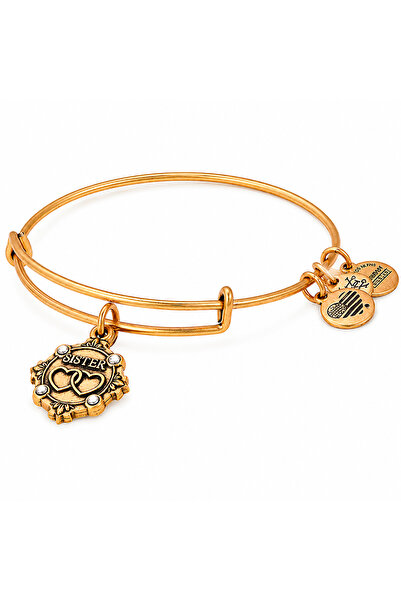 Alex and Ani Bratara Metal A18BILY10RG