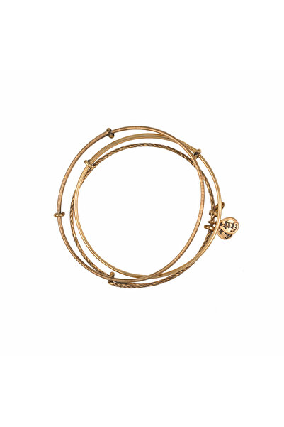Alex and Ani Bratara Metal A09EB150RG