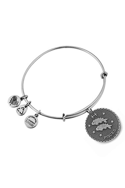 Alex and Ani Bratara Metal A07EB40PIRS
