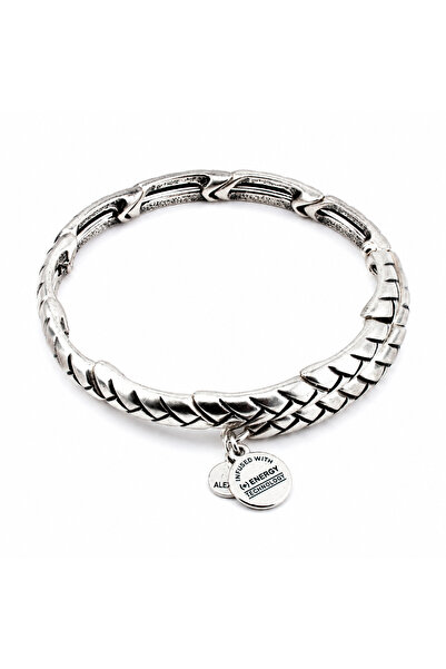 Alex and Ani Bratara Metal V16W03RS