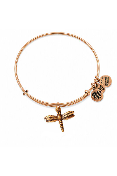 Alex and Ani Bratara Metal A12EB16RG