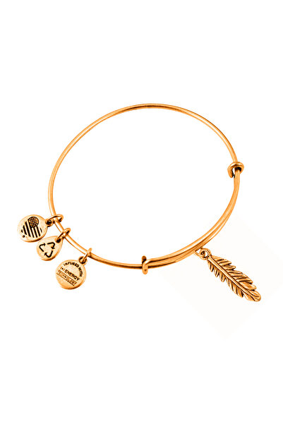 Alex and Ani Bratara Metal A10EB143RG