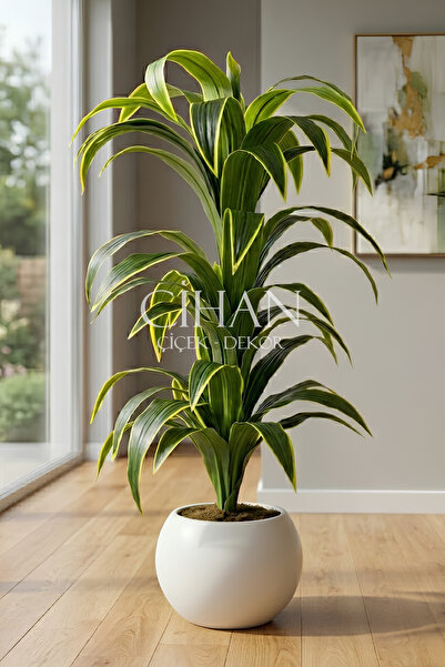 Cihan Çiçekçilik Küre Saksılı Yapay 150 cm Dracaena Fragrans Ağacı