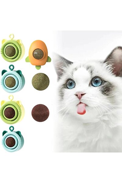 Arabest 5-Piece Catnip Roller Ball Set, Wall Mount Catnip Toy with 2 Replacem...