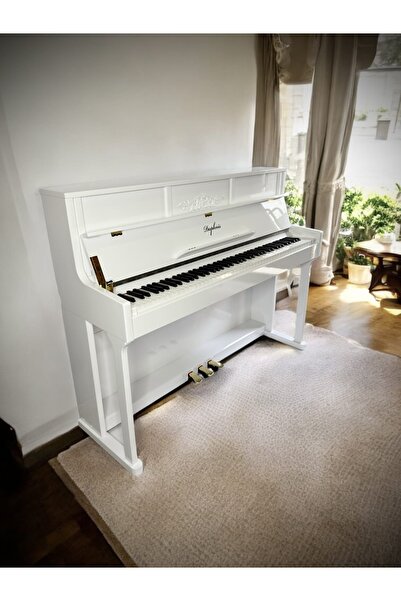 DAPHNIS DP-226 duvar tipi dijital piyano (KULAKLIK VE TABURE HEDİYE)