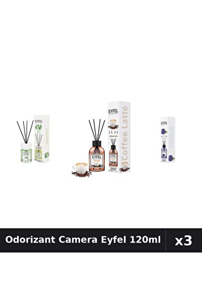 Eyfel Top Bottom Set of 3 Room Air Fresheners with Reeds - Jasmine, Coffee, H...