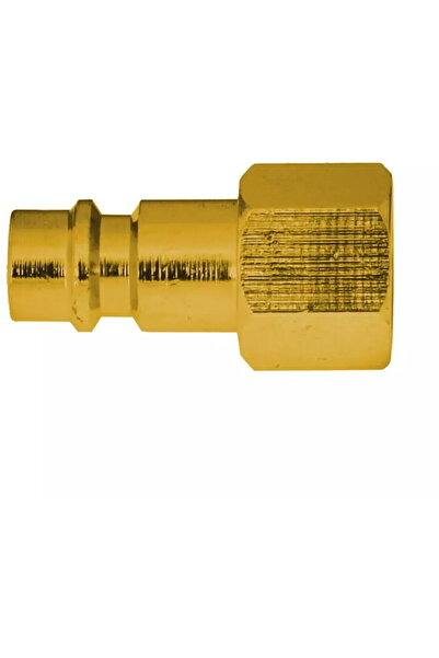 DEDRA EXIM Cupla rapida tata aer comprimat filet interior 1/2"