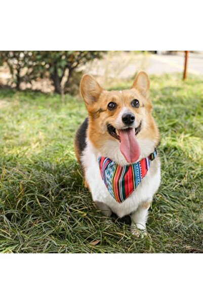 Yıldızan Terra Organik Urban Style Jazz Stripes Bandana Collar (XS) Terra Org...