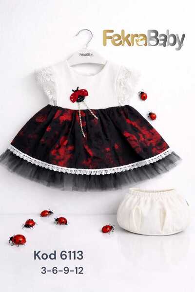 FEKRA BABY 2-Pack Baby Girl Ladybug Dress