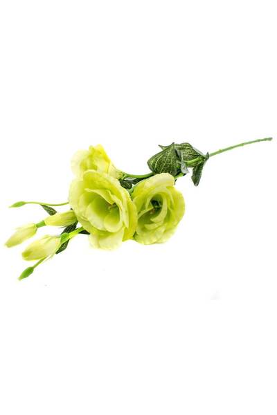 OEM Flori Artificiale Lisianthus Verde