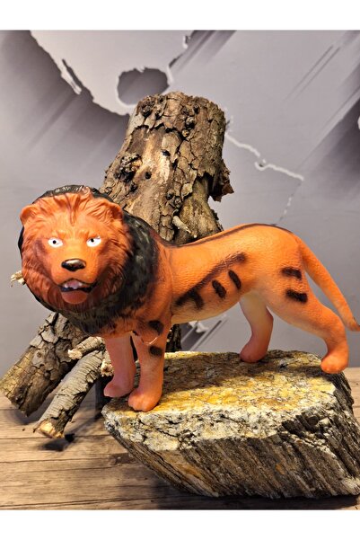 Asya VAHŞİ HAYVANLAR SERİSİ ASLAN