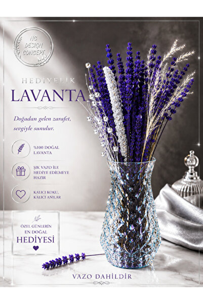 NC DESIGN CONCEPT LAVANTA