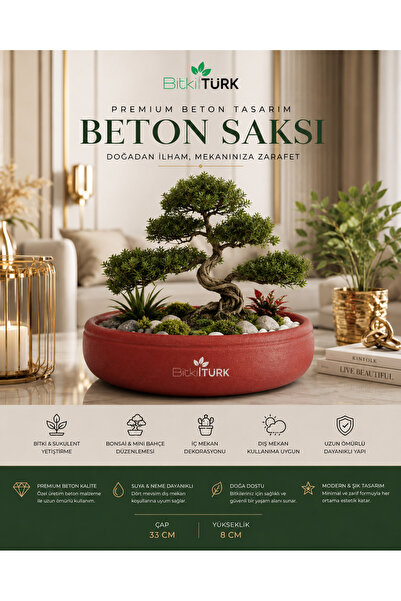 BitkiTÜRK 🌿 Özel Üretim Beton Saksı | 33 cm Geniş Çap | Barış Çiçeği, Bonsai...