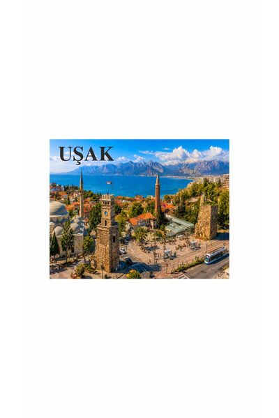 Gokco Buzdolabı Süsü Magnet Uşak Magnet
