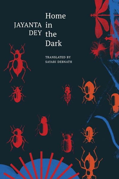 Seagull Home in the Dark: Selected Stories