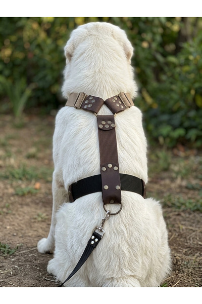 balkonda Dog Chest Collar H Type Large Breed Adjustable 4 cm Width Column Cor...