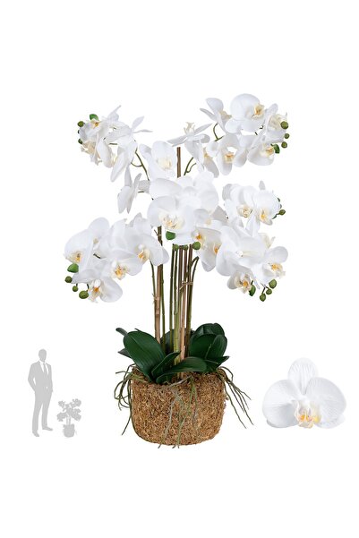 Roberto Rossi Orhidee artificiala alba cu aspect H71 cm cu 6 tulpini