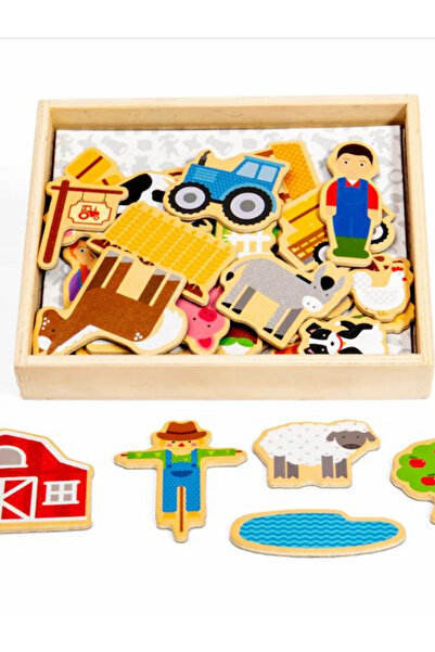 BIGJIGS Toys مغناطيسات المزارع
