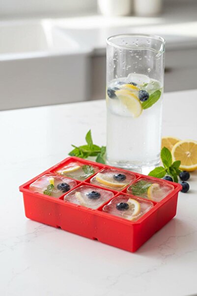 NY JOY 6-Chamber Silicone Ice Tray & Multi-Purpose Freezer and Freezer Organi...