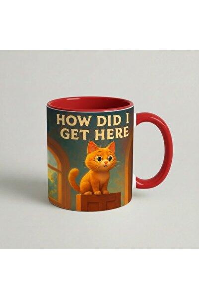 Petgifts Cana Cadou Personalizat Amuzanta Cu Mesaj How Did I Get Here - Ceram...
