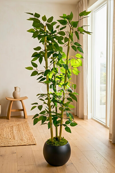 Cihan Çiçekçilik Yapay 3 Bambulu Benjamin Ağacı 110 cm - 27*33 Siyah Küre Sak...