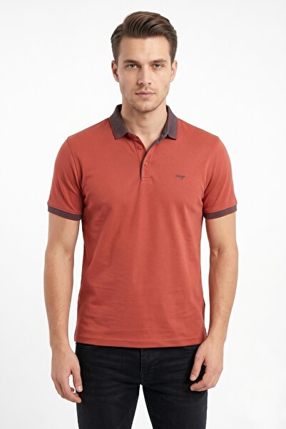Raymons Men's Polo Collar Short Sleeve T-Shirt Regular Fit T3000 Bgl-St05555