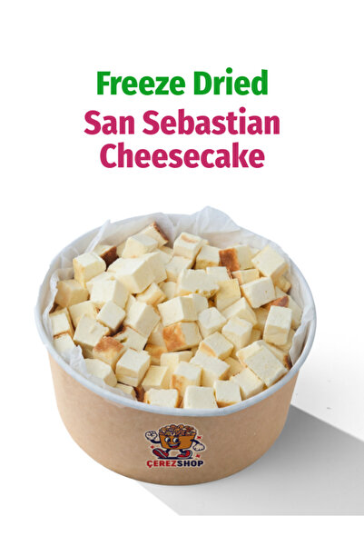 ÇITLAT ÇEREZ SHOP Freeze Dried San Sebastian Cheesecake – Kurutulmuş Çıtır Ch...