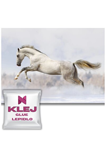 Naklejkomania Fototapet Pentru Dormitor Tapet Cu Galop De Cal Alb Pentru Sufr...