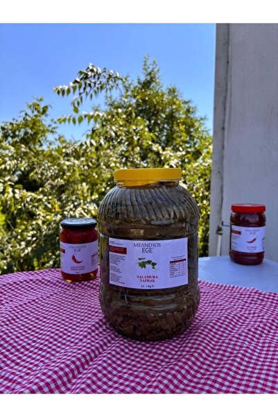 Meandrosege SALAMURA YAPRAK (5 KGLIK BİDON 2,5-3 KG )