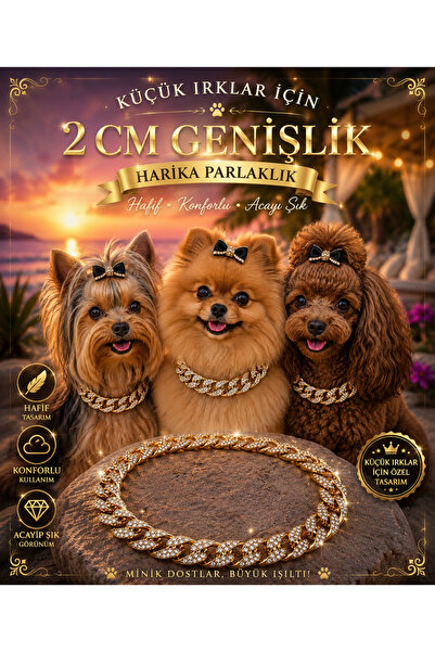 LOOL PREMİUM TAŞLI ZİNCİR KOLYE TASMA 2 Cm HAFİF TASMA KOLYE
