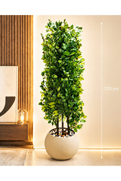 Rafef 170 cm Artificial Olive Tree with Maccony Rootstock