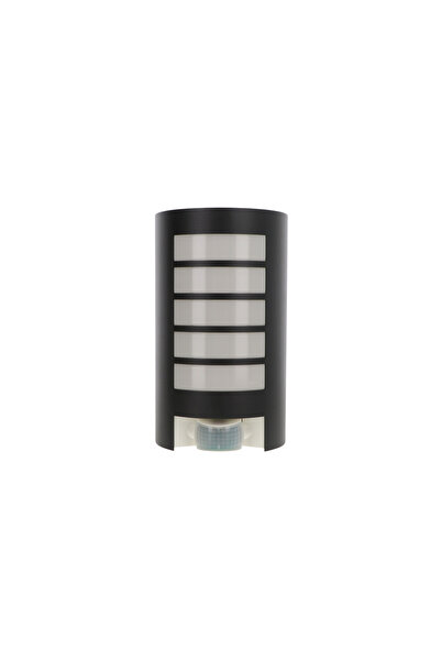 Steinel Aplică de perete Luminaire 60W L 12 cu senzor antracit