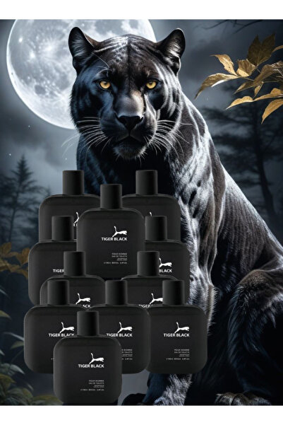 Tiger 11 Pieces Black Perfume 100ML