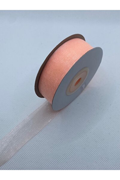 Lorin hobi Salmon 2 cm 20 Meters Organza Tulle Ribbon No;109