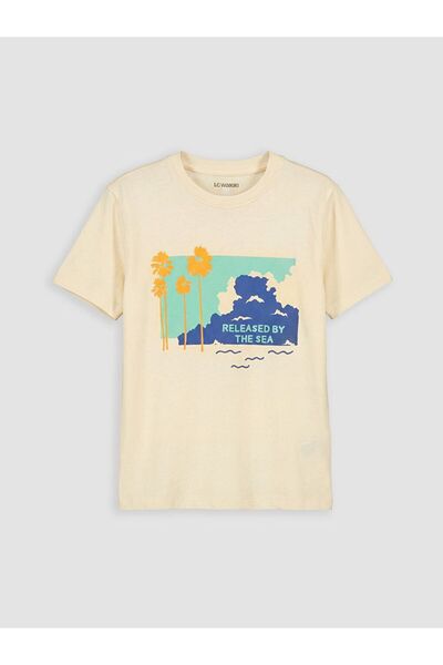 LC Waikiki Crew Neck Printed Boy's T-Shirt